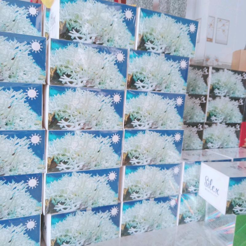 [Ngày &đêm] kem silex xanh tảo biển và silex tím dành cho da nám,thâm mụn,dưỡng trắng Làm trắng răng Cấp nước Kiểm soát dầu 8