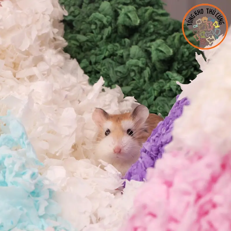 Giấy lót chuồng cho thú cưng nhỏ, làm ổ chuột hamster HÃNG BUCATSTATE bông giấy mềm mại không bụi, bảo vệ hệ hô hấp 400g 2