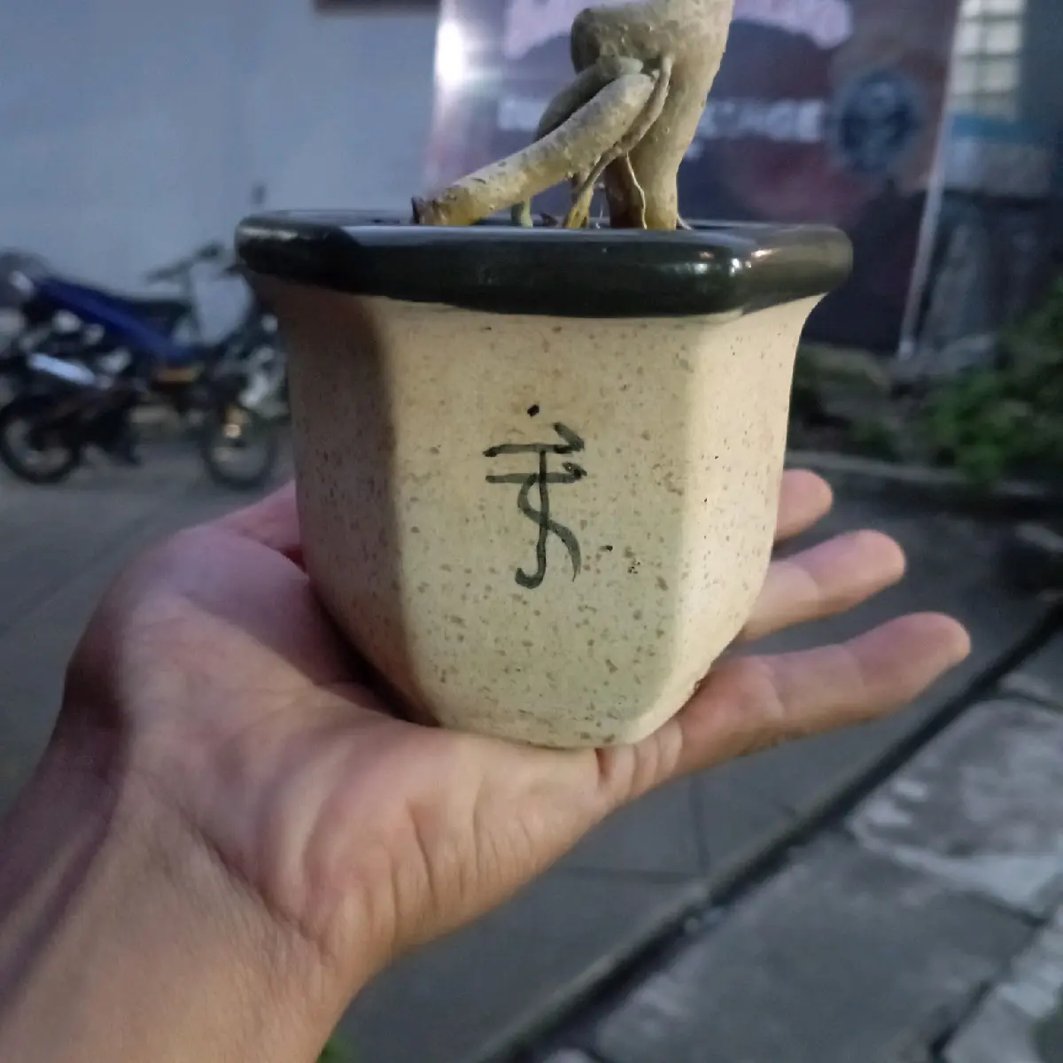 pot kramik ori