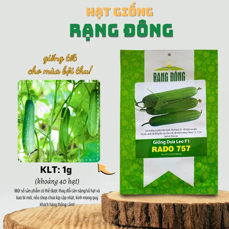 Hạt giống Dưa Leo Lai F1 Rado 757 Trái Dài (1g~40 hạt) trồng quanh năm, sinh trưởng khỏe, năng suất cao - Rạng Đông Seeds 0