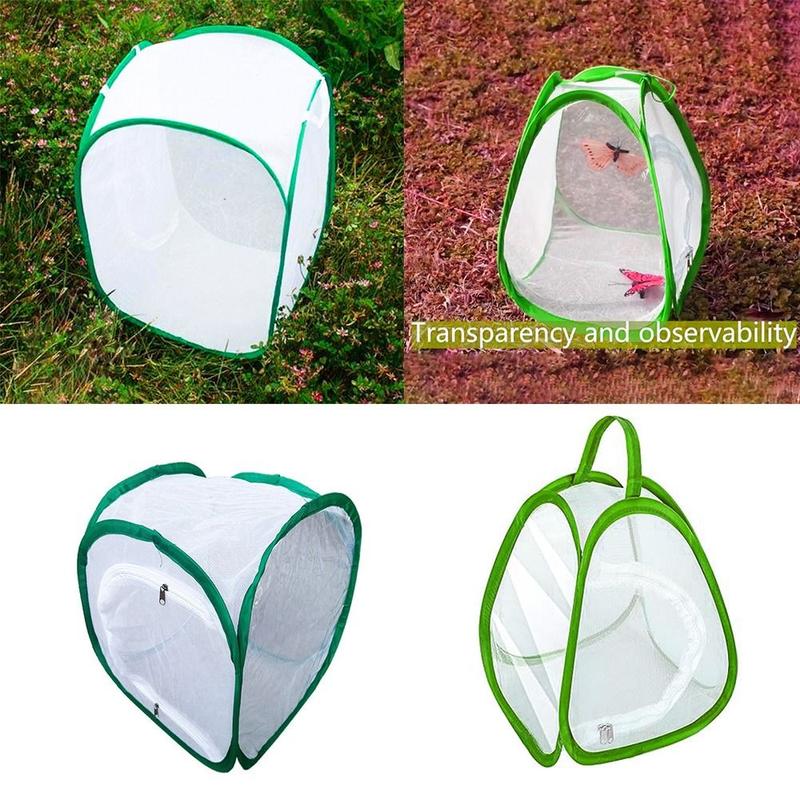 Product Introduction of thetoo Durable Green Collapsible Insect Cage Zipper Opening Feeding Box Plant Insect Screen Insect Habitat Transparent Mesh Reptile Pets Cage Indoor Outdoor 11