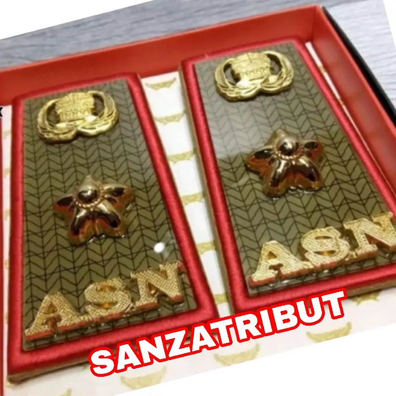 Pangkat ASN Kalimantan Utara 3d 4a 4b Pangkat Pns Kaltara 2