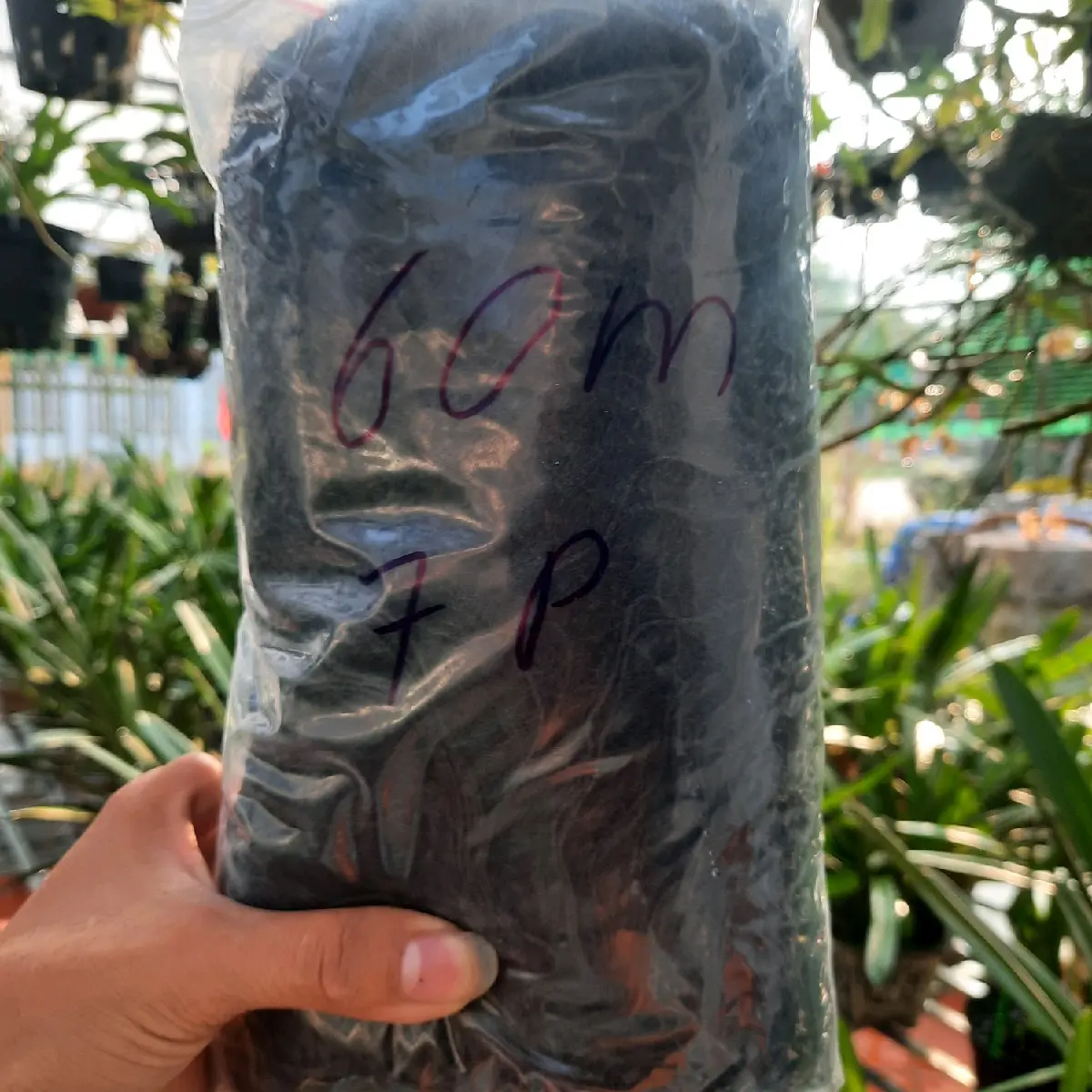 lưới tàng hình 60m 7p cao 6m 5 viền 4 túi