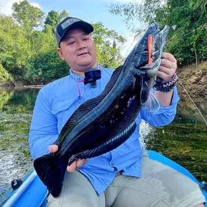 Shop Đồ Câu Hai.N