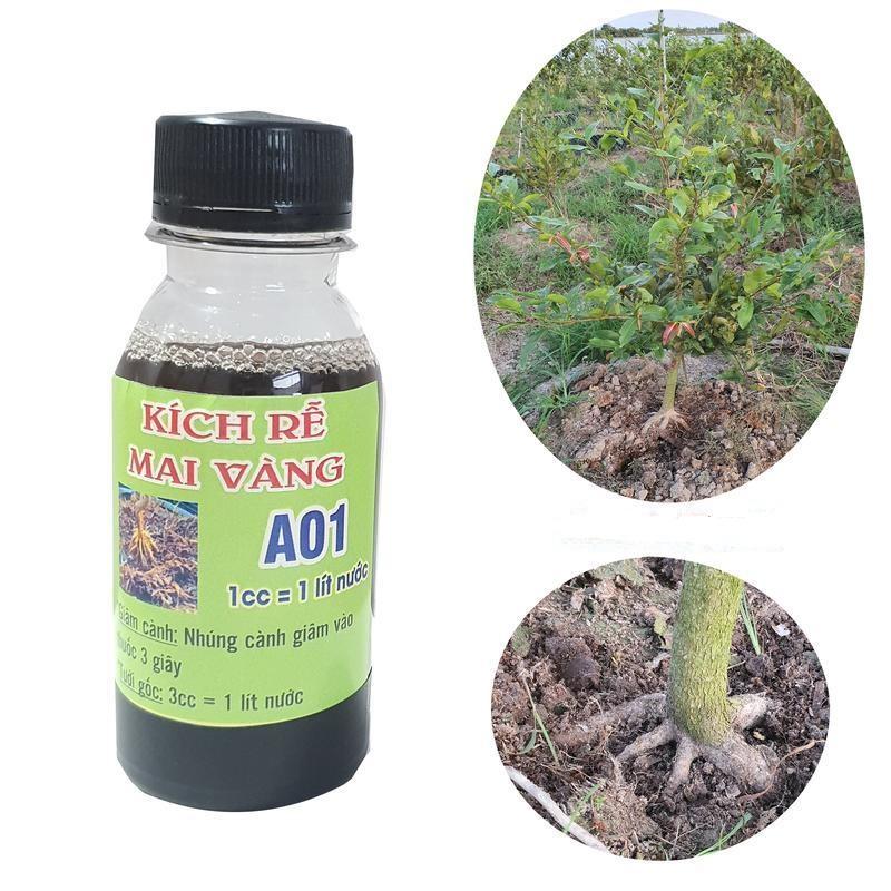 Kích rễ mai vàng A01, phân bón kích rễ cho các loại cây giâm chiết cành chai 100ml - hiệu A01