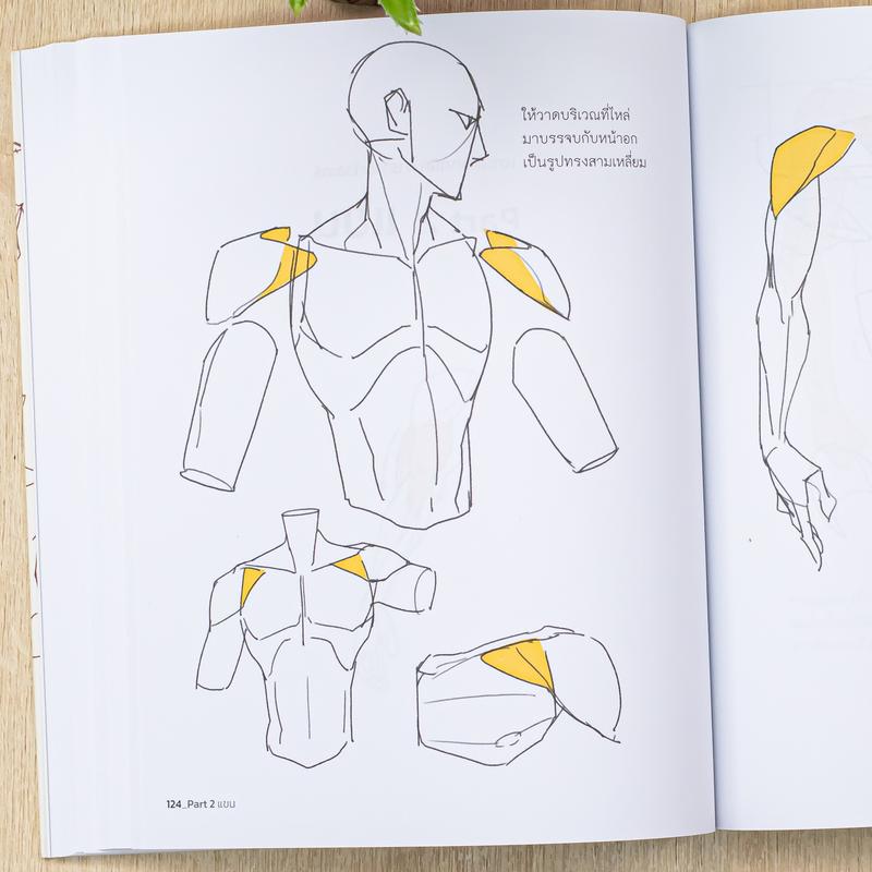 Product Introduction of หนังสือ เซตคู่ (Box Set) Point Character Drawing เจาะลึกเทคนิค การวาดตัวละคร 2