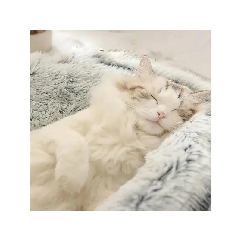 1pc Pet Bed With Hood, Plush Cozy Bed For Cats And Small Dogs, Warm Comfortable Anti-Anxiety Donut Shape Pet Bed, Suitable For Medium And Small Pets 7