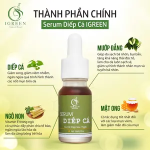Quỳnh Mai Diếp Cá