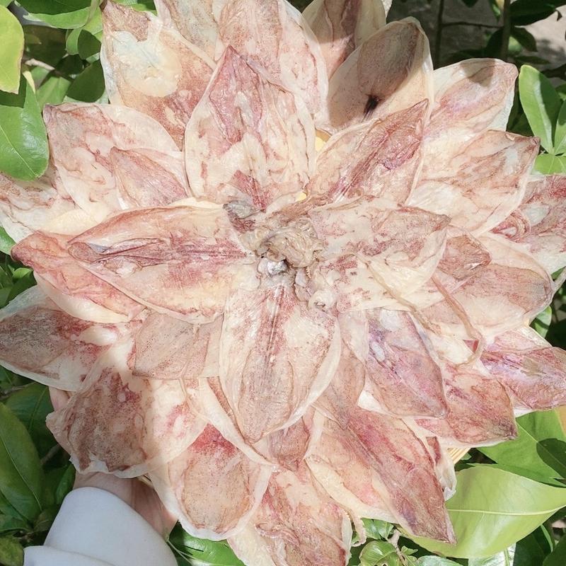 Khô mực size 80-85 con (40-42con=0.5kg) Hàng loại 1  Mực ống bầu Sông Đốc Cà Mau