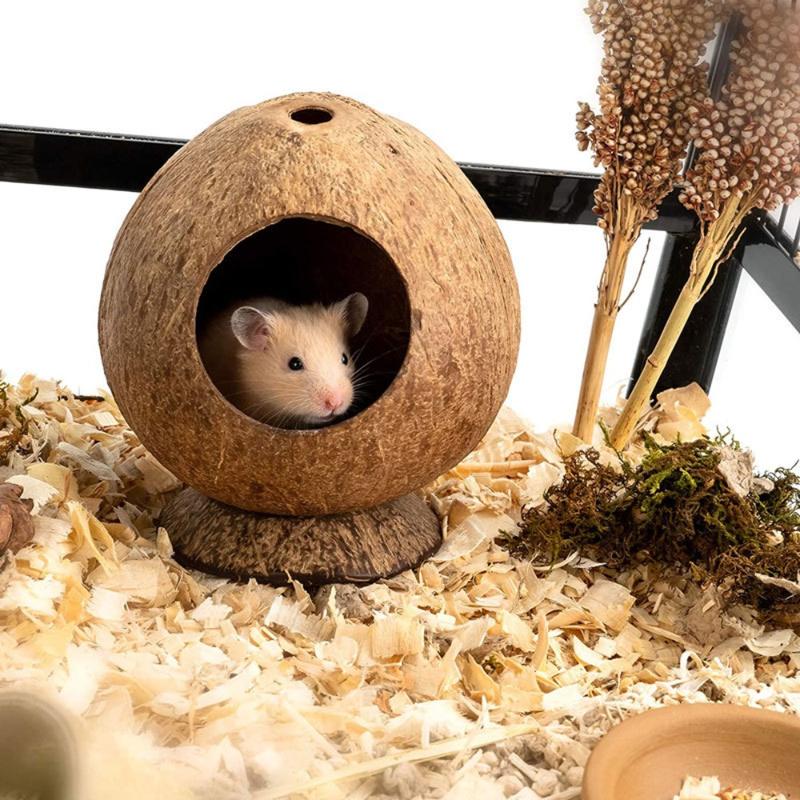 Product Introduction of Practical Coconut Hamster House Bite Resistance Wear Resistant Bite-resistant Natural Coconut Shell Warm Guinea-pig Hamster Hideout House 13
