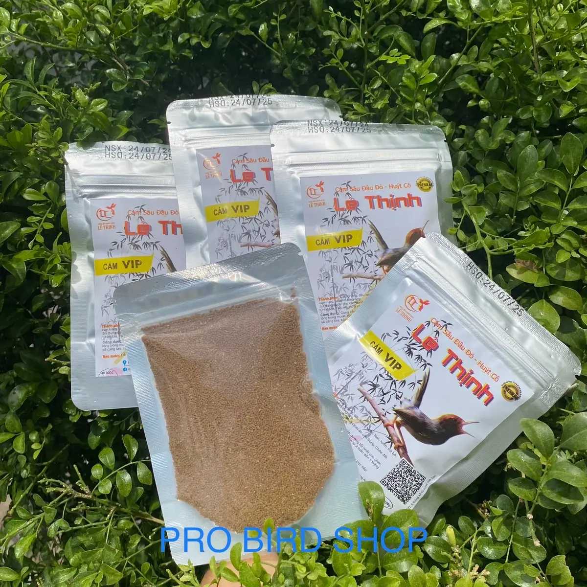 Cám Sâu Đầu Đỏ, Huýt Cô Lê Thịnh (Hạt)