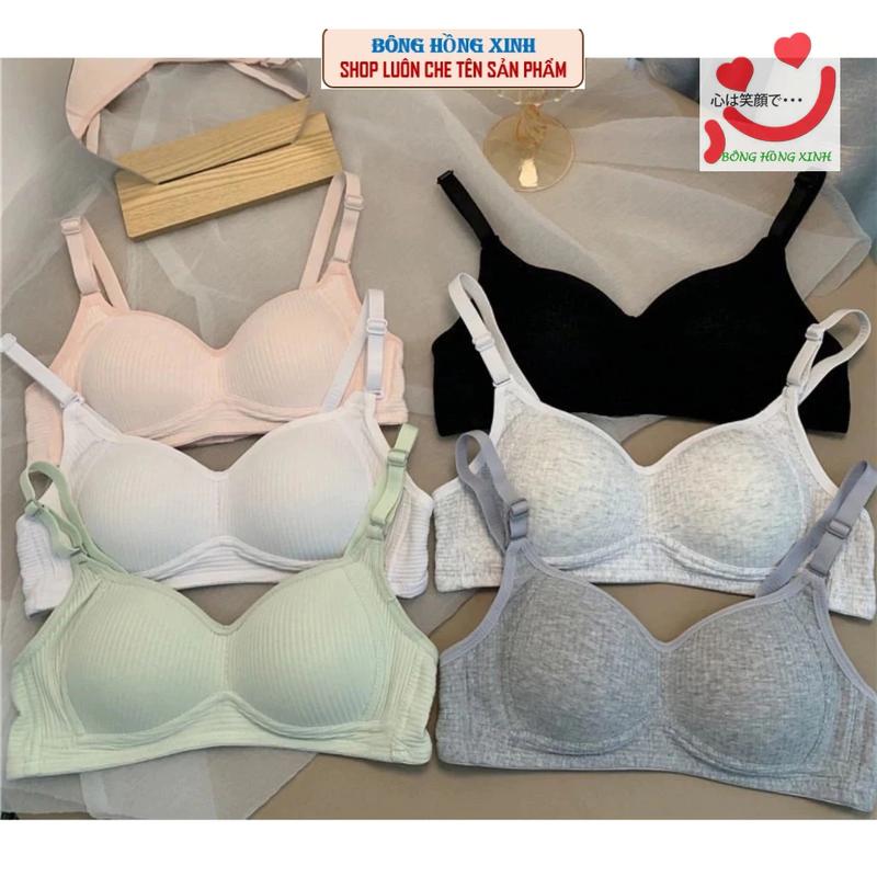 Combo 3 Áo lót nữ cotton không gọng, áo ngực mút mỏng học sinh 138  from nhỏ áo  ngực độn Women Bra