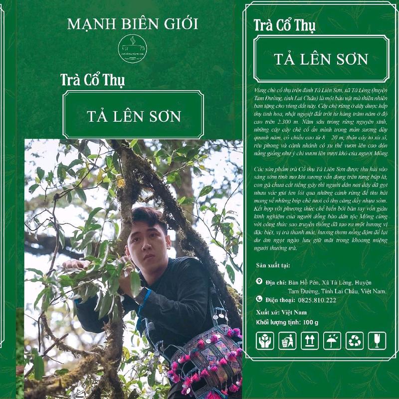 100g Trà shan tuyết cổ thụ Tả liên sơn phẩm trà từ 300 đến trên 500 năm . Mạnh biên giới - Hợp tác xã Mạnh Trà 1
