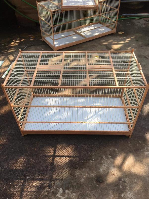 Khung lồng lực chào mào gỗ nan cáp quang 60 và 80 tự ráp siêu bền , đẹp