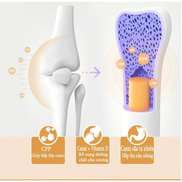 Hộp 600 viên Bổ sung Canxi cho chó mèo BRORAMY 1