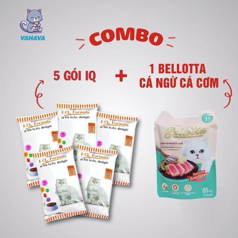 COMBO 5 gói thức ăn cho mèo iq 500g - thức ăn iq dạng hạt cám cho mèo