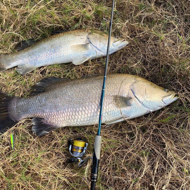 Cần Câu Cá Chuyên Lure Giá Rẻ Cemreo Centaurus - Đẹp và chất lượng Fishing