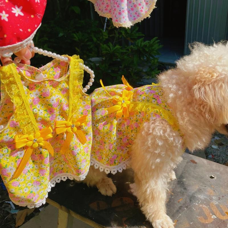 Đầm thiết kế cao cấp cho chó mèo siêu xinh ( sale xã kho)đầm váy cho chó mèo