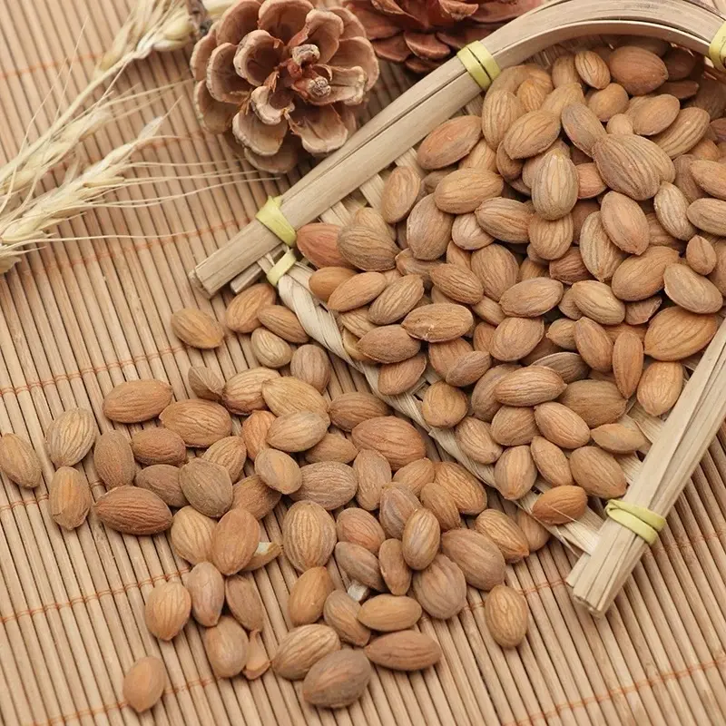Đào Nhân 100gram - Đông Y Chấn Hưng Long