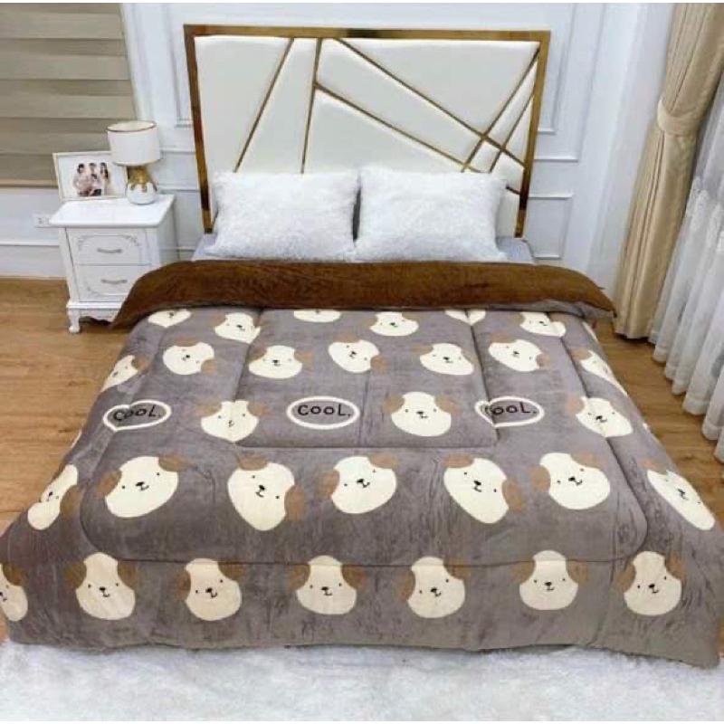 Chăn lông thỏ yuki Boss Decor Cấp Siêu Mềm Nhẹ Cho Mùa Đông, Làm Ấm Nhanh Giữ Nhiệt Tốt Kích Thước Chuẩn