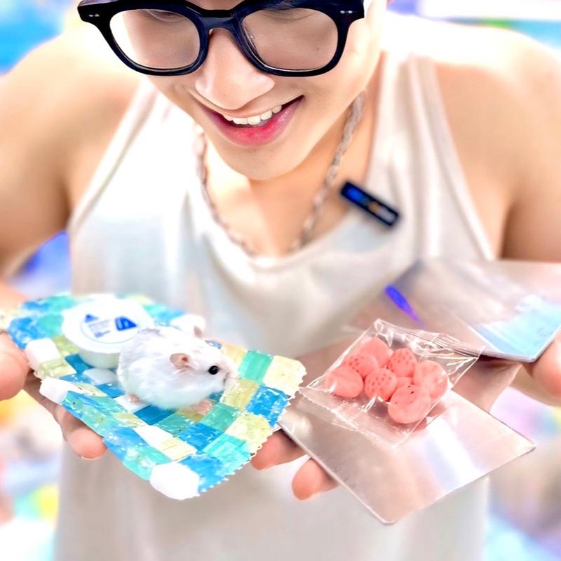 COMBO SIÊU MÁT DÀNH CHO HAMSTER bao gồm: 2 đá tản nhiệt bản mới + 2 tấm kim loại tản nhiệt+ pudding sữa dê giải nhiệt+ bánh ăn dặm