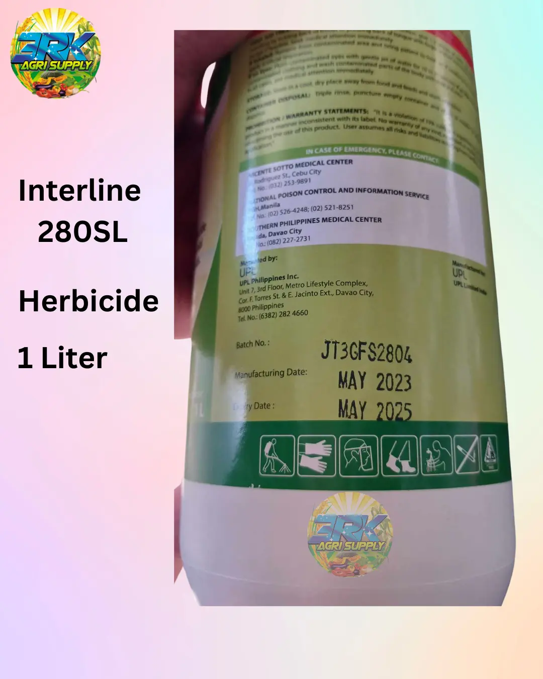 dracaena goldieana Dracaena goldieana – ARIUM BOTANICALS main image 0