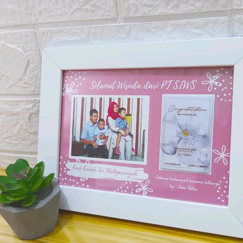 FRAME InGold 0