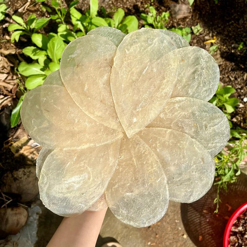 Khô Cá Bống Trầu Ép Loại 1 Tẩm Vị Vừa Ăn Food Thức Ăn 0