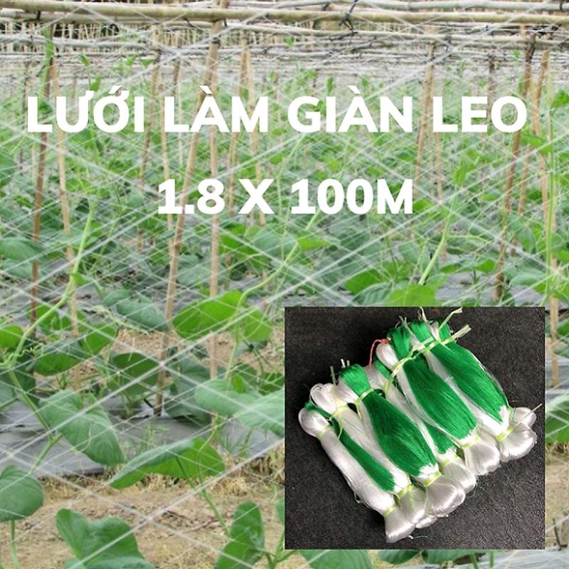 LƯỚI LÀM GIÀN CHO LOẠI CÂY LEO SIZE 1,8X100M-GIÚP TIẾT KIỆM THỜI GIAN