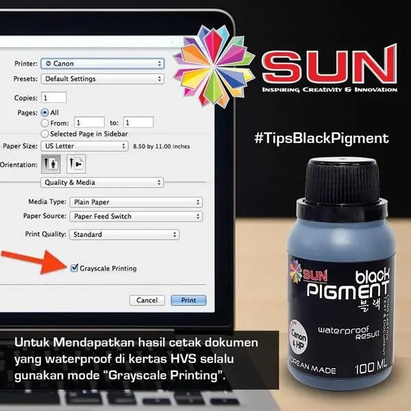 Tinta Canon / HP SUN REVO INK CMY + SUN BLACK PIGMENT CANON/HP 100 ml 2