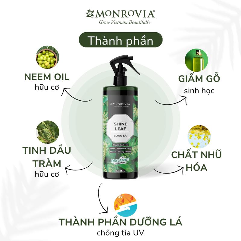 Product Introduction of Phân bón hữu cơ BÓNG LÁ MONROVIA pha sẵn giúp lá cây khỏe mạnh, xanh bóng, dành cho cây trồng dung tích 500ml 1