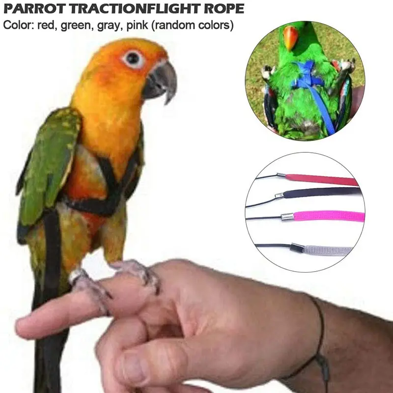 Adjustable Bird Harness, Adjustable Harness For Birds, Harness And Lead, Anti-Bite For Birds, Parrot, African Grey, Cockatoo, Yellow Cockatiel Conure Collar