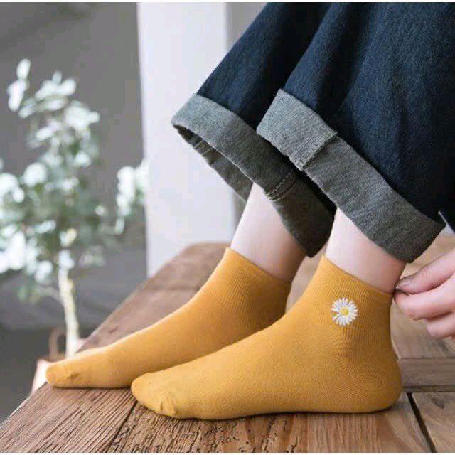 Tất Hoa Cúc ( Nhặt màu lộn xộn k chọn ) 5