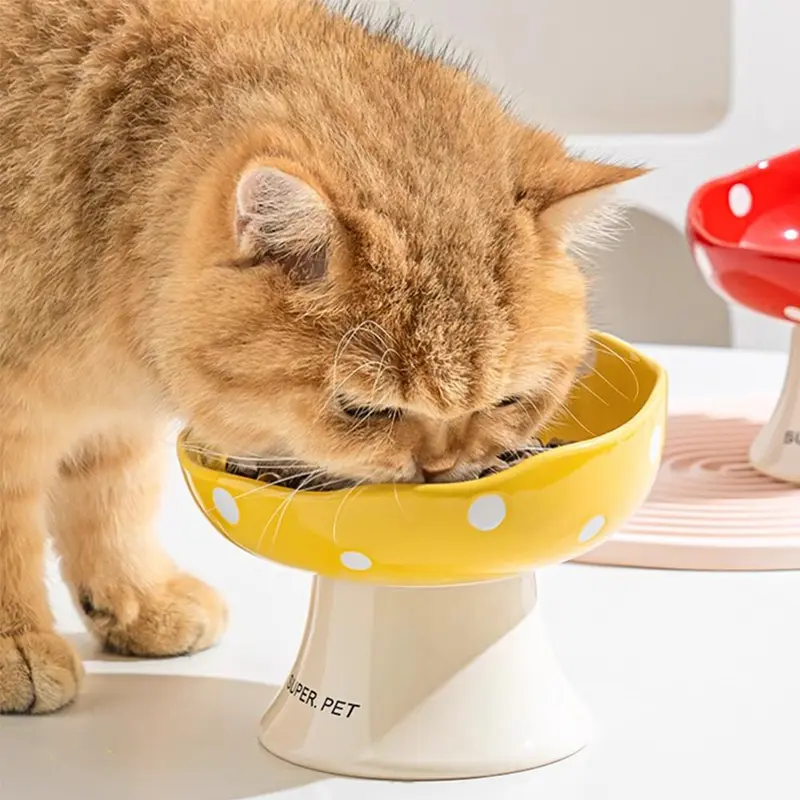 Cute Dot Pattern Cat Bowl, 1 Count Ceramic Cat Food Bowl, Pet Feeding Supplies for Indoor Outdoor Use, Pet Supplies, Feeder 1