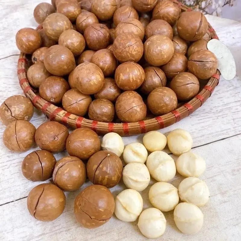 HẠT MACCA TÚI ZIP 150GRAM CAO CẤP - SIÊU NGON - ĐẬM VỊ THƠM NGON KHÓ CƯỠNG Ăn Vặt Food Snack