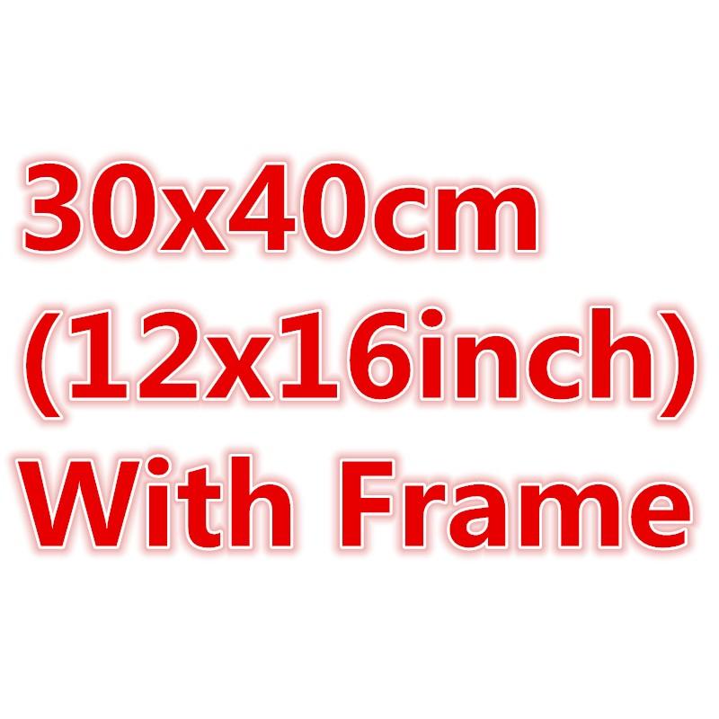 DZ-30x40cm With Frame