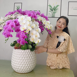 Hoa nhà Thuỷ - Kho tiện ích 888