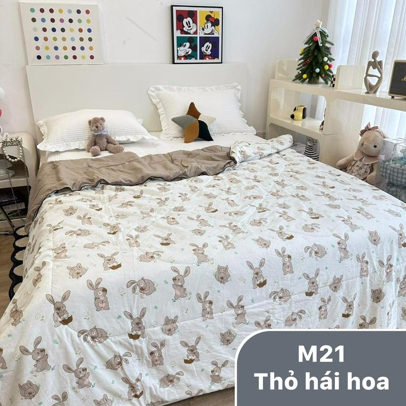 Product Introduction of Chăn hè xơ đậu nành 9