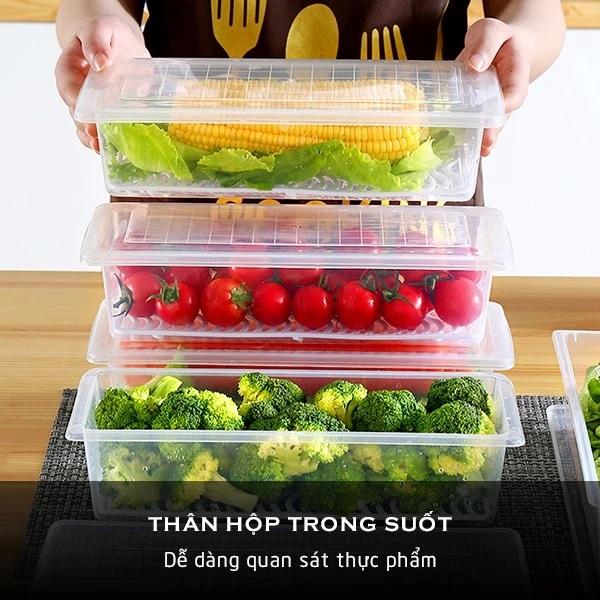 (HN) Combo 10 Hộp Đựng Thực Phẩm Thức Ăn, Rau Củ hoa quả tiện lợi để Tủ Lạnh Nhựa PP An Toàn Hàng Việt Nhật (H-6586)