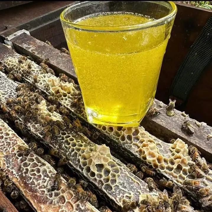 Mật ong bạc hà vàng sánh, tự nhiên 0