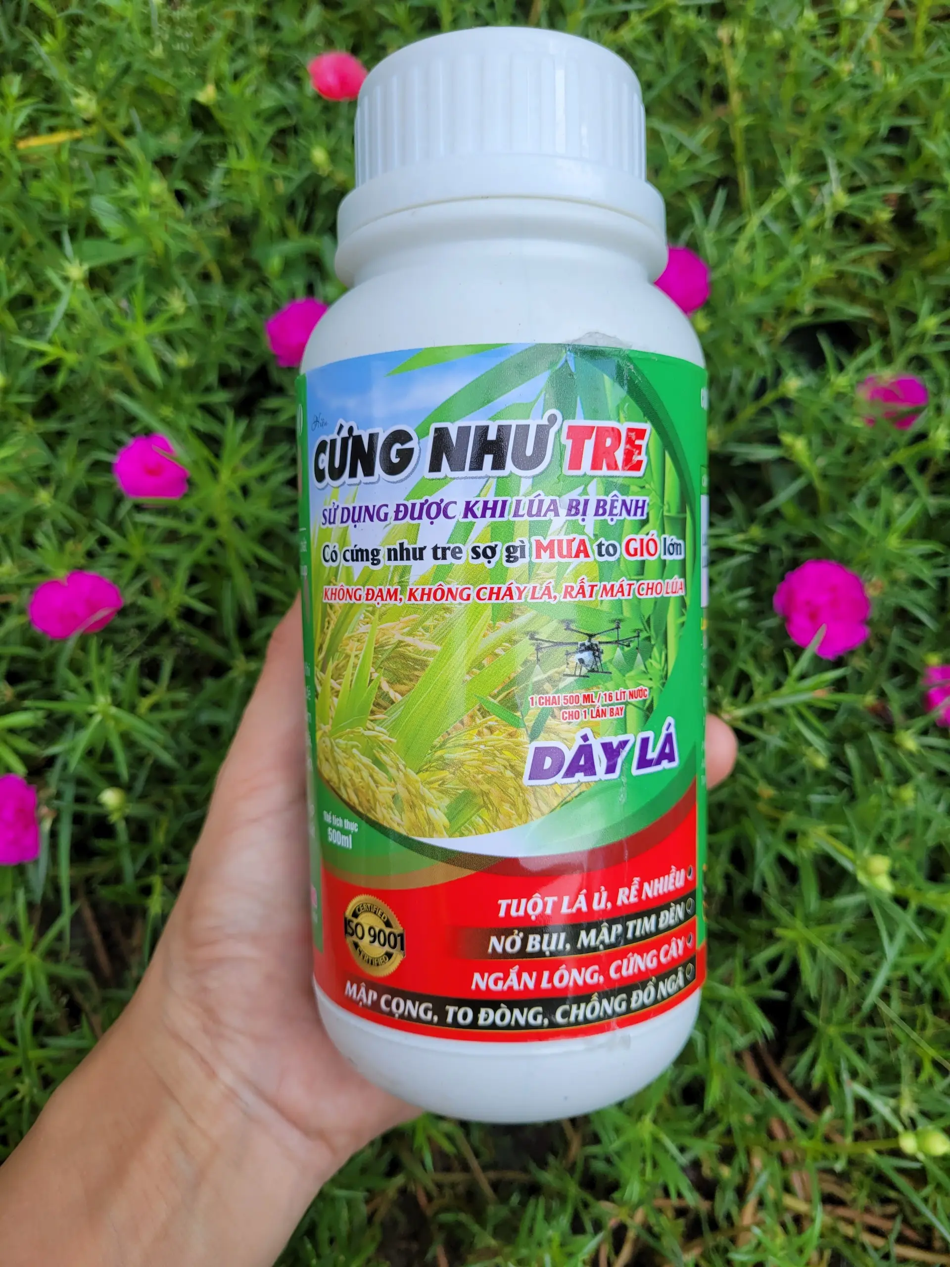 Phân bón lá CỨNG NHƯ TRE dùng cho lúa, nếp cứng cây, đứng lá, chống đổ ngã chai 500ml
