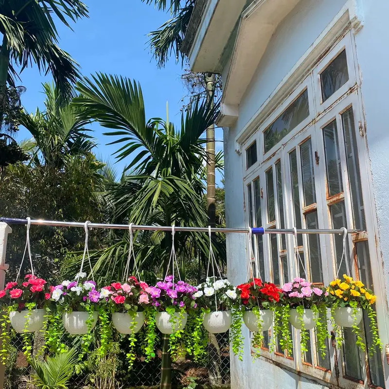 Combo chậu hoa đỗ quyên kèm chậu nhựa tròn cắm sẵn, mix lá rủ trang trí decor… Decor Phòng Trang Trí Nhà, ban công, lan can, quán cà phê, nhiều không gian xinh xắn hoặc phân khúc bình hoa đỗ quyên để bàn kèm chậu nhựa cắm sẵn cao 25-30cm 3