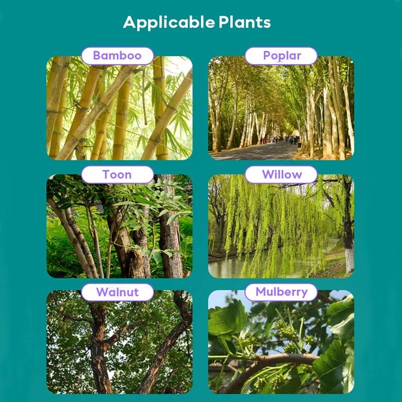 Herbicides remove large trees bamboo shrubs high concentrations of rotten roots root rot and root death  tree killer chemical Weeding and land reclamation Not turning green  kill tree permanent grass killer tree killer tree root killer kill tree Pot 7