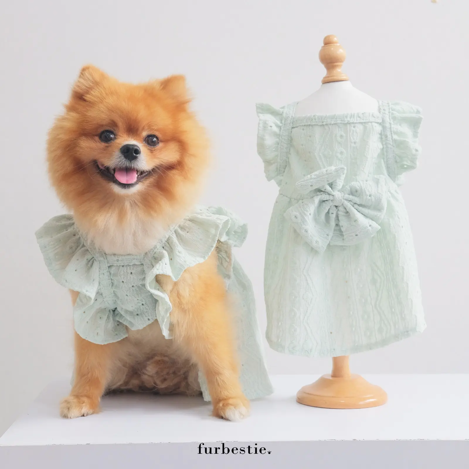 Furbestie by Pomapoo - Baju Kucing dan Baju Anjing Flore Dress