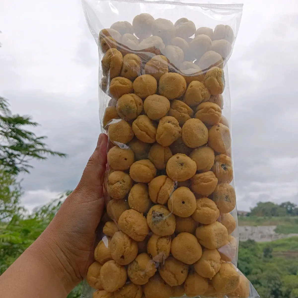 soes coklat premium 500gr