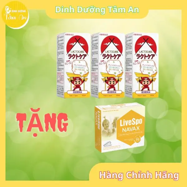 Combo 3 chai Siro Lactocare tặng 1 hộp Bảo tử nhỏ mũi lợi khuẩn LiveSpo Navax