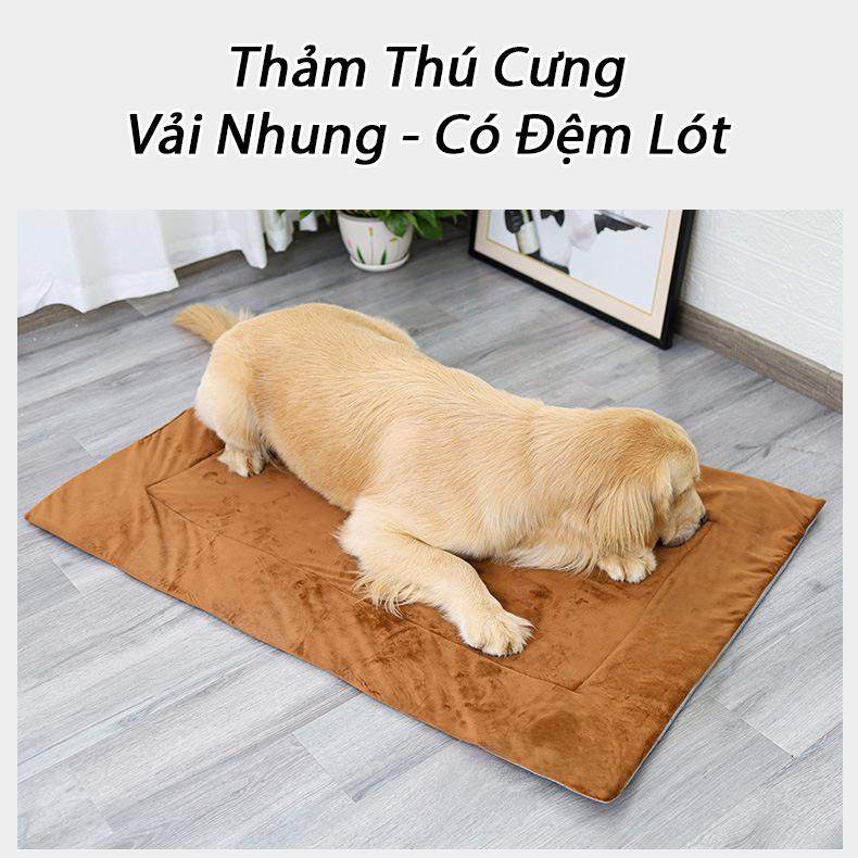 Thảm Cho Chó Mèo 50x80cm Vải Nhung [MÀU NGẪU NHIÊN], Nệm Ngủ Chó, Đệm Lót Chuồng Chó