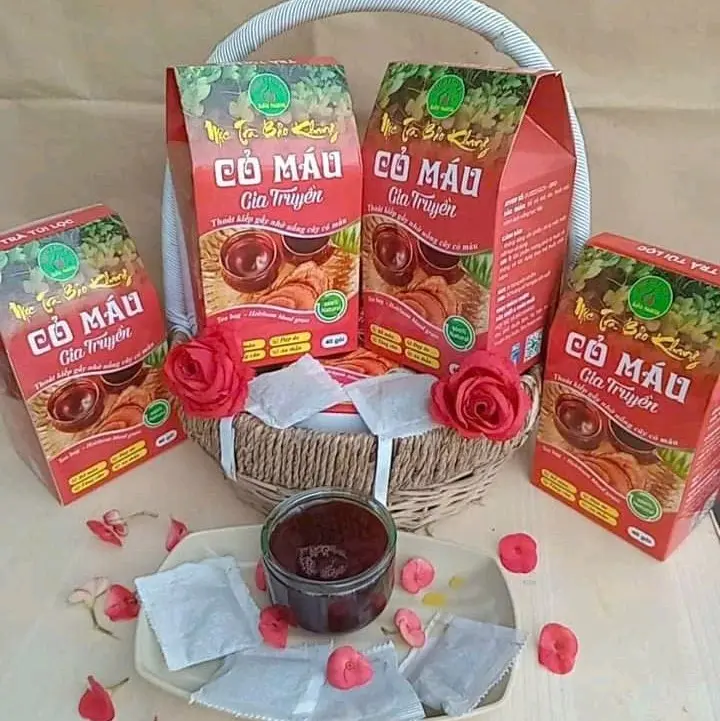 Trà túi lọc Cỏ Máu ,sản phẩm từ thiên nhiên-- Tea Thoát kiếp gầy nhờ uống cây cỏ máu. tratang tet 2