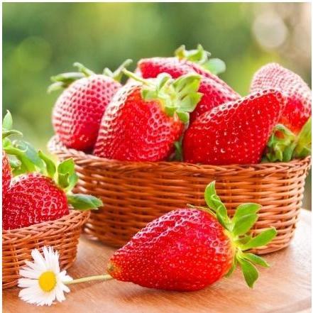 Hương dâu bột Pháp thơm đậm STRAWBERRY FLAVORING Hộp 1kg Food 1