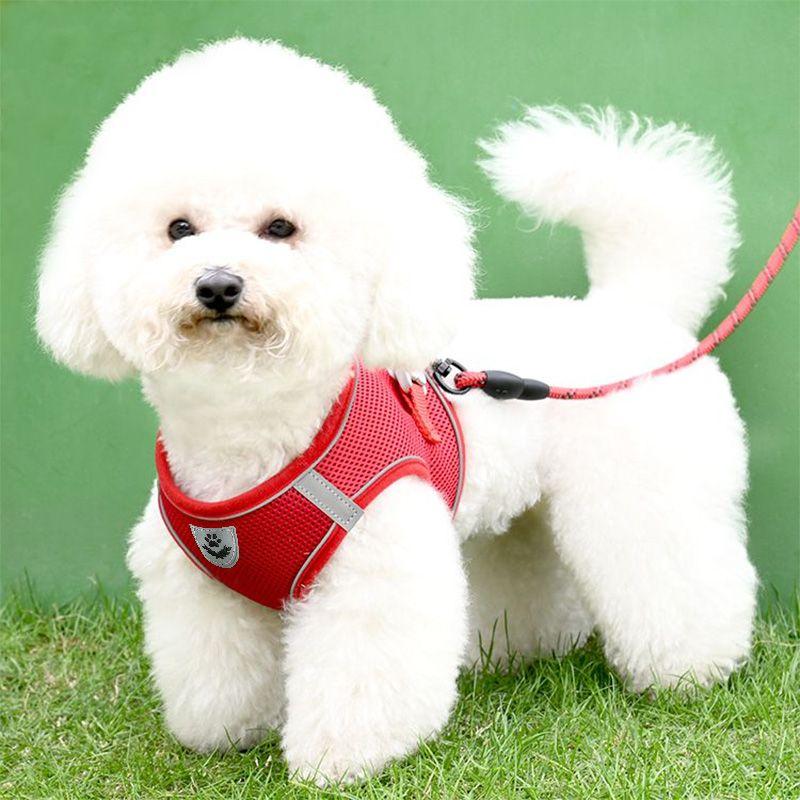 Product Introduction of Dog Leash Vest Dog Leash Small Dog Bear Teddy Special Chest Strap Dog Chain Adjustable Telescopic 3